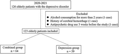 Clinical symptoms and their relationship with cognitive impairment in elderly patients with depressive disorder